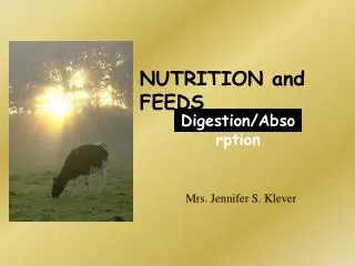 NUTRITION and FEEDS