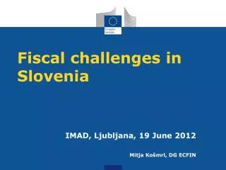 Fiscal challenges in Slovenia