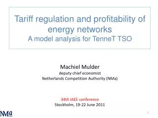 Machiel Mulder deputy chief economist Netherlands Competition Authority (NMa) 34th IAEE conference Stockholm, 19-22 June