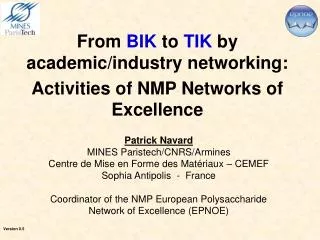 From BIK to TIK by academic/industry networking: Activities of NMP Networks of Excellence