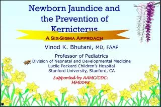 Vinod K. Bhutani, MD, FAAP Professor of Pediatrics Division of Neonatal and Developmental Medicine Lucile Packard Child