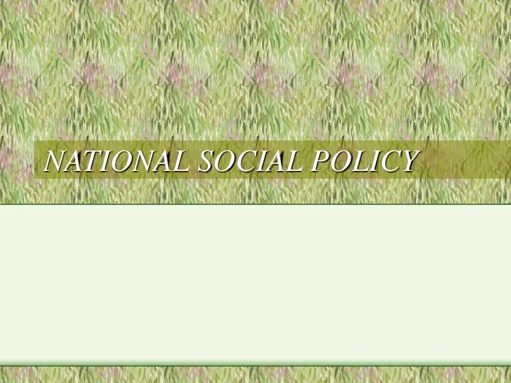 national social policy