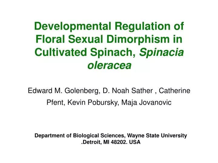 developmental regulation of floral sexual dimorphism in cultivated spinach spinacia oleracea