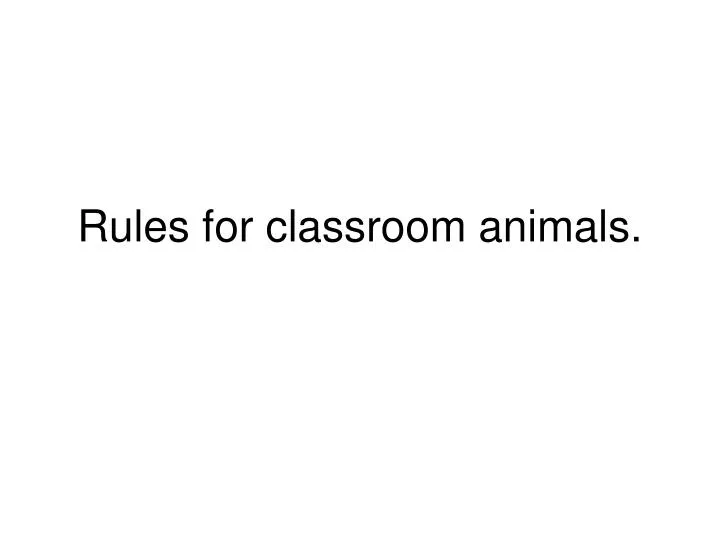 rules for classroom animals