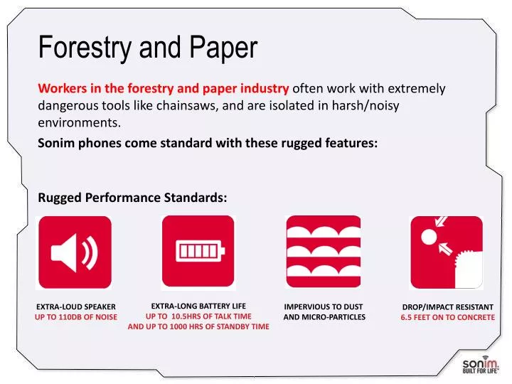 forestry and paper