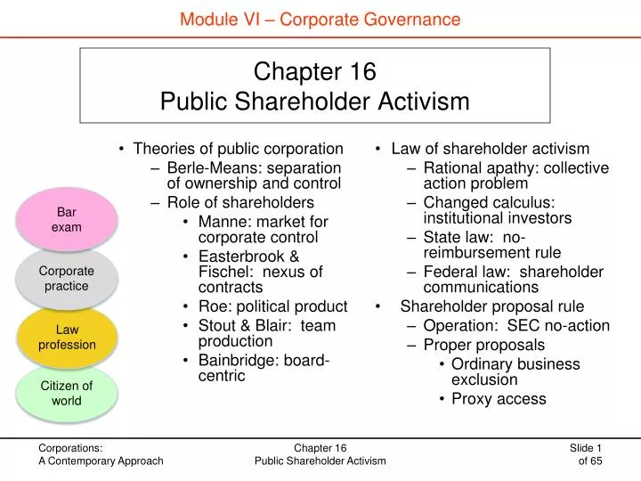 chapter 16 public shareholder activism