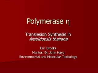 Polymerase ?