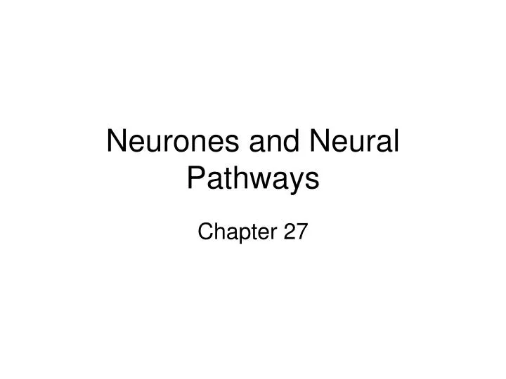 neurones and neural pathways