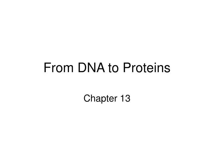 from dna to proteins