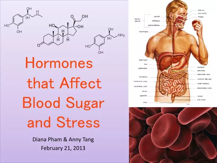 hormones that affect blood sugar and stress