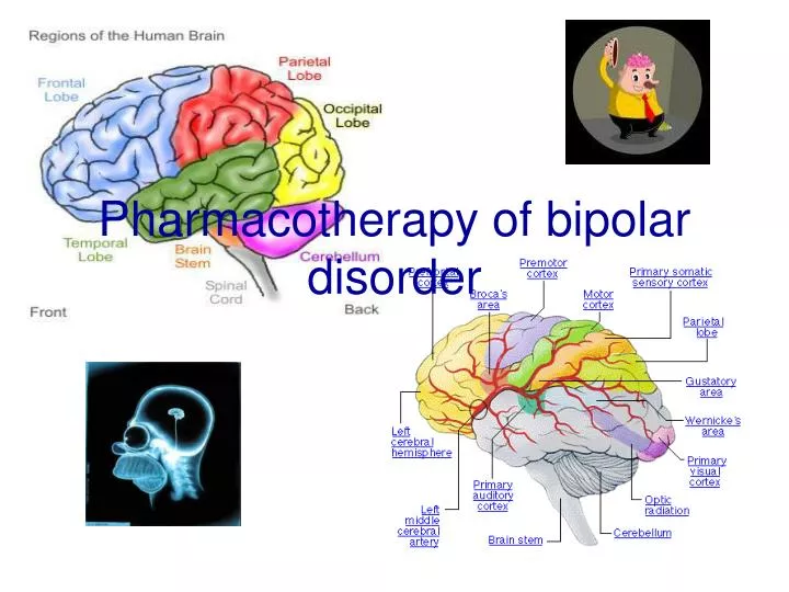pharmacotherapy of bipolar disorder
