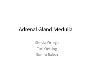 Adrenal Gland Medulla