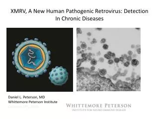 XMRV, A New Human Pathogenic Retrovirus: Detection In Chronic Diseases