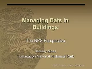 Managing Bats in Buildings