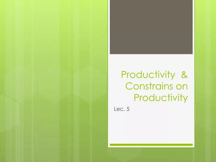 productivity constrains on productivity