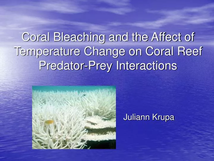 coral bleaching and the affect of temperature change on coral reef predator prey interactions