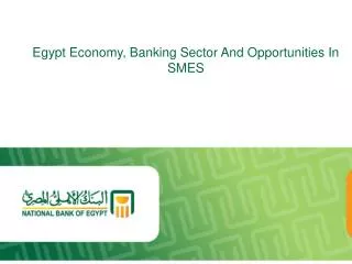Egypt Economy, Banking Sector And Opportunities In SMES