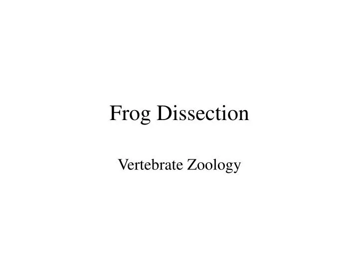 frog dissection
