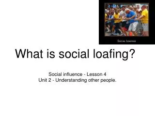 What is social loafing?