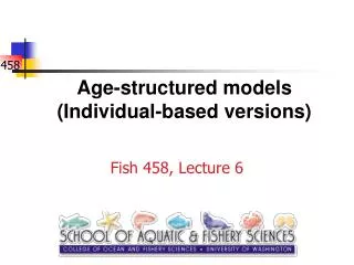 Age-structured models (Individual-based versions)