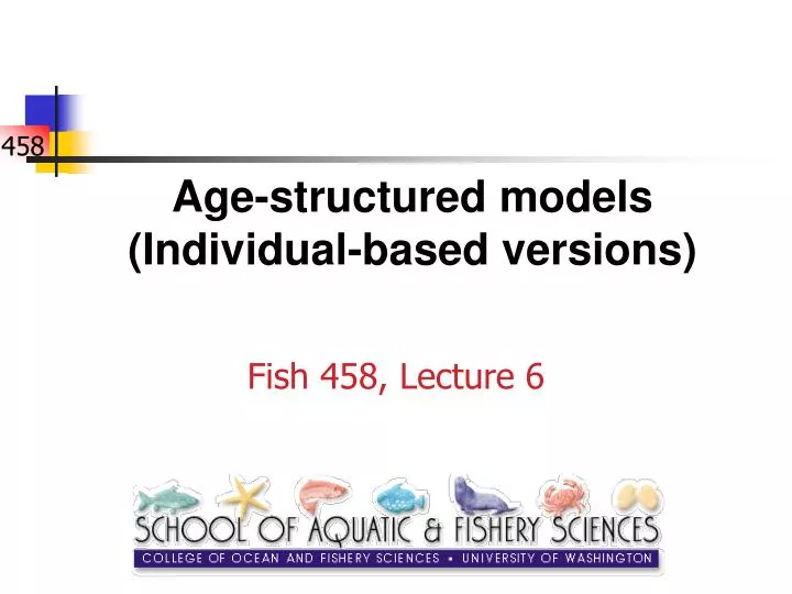 age structured models individual based versions