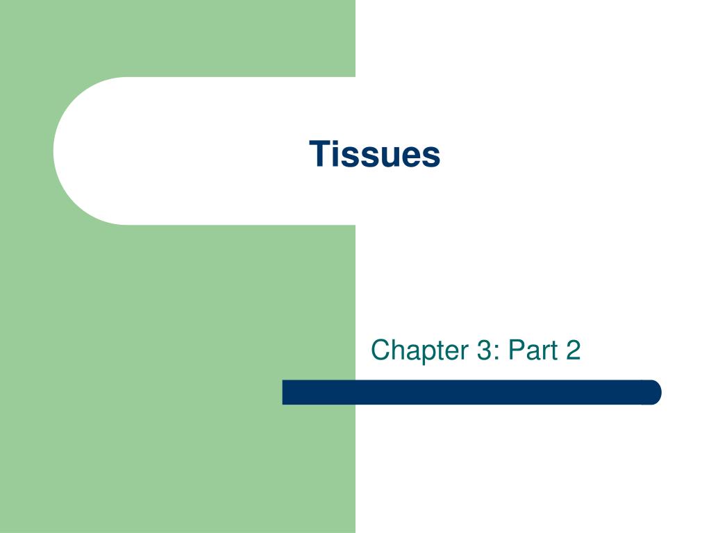 PPT - Tissues PowerPoint Presentation, free download - ID:1490982
