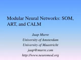 Modular Neural Networks: SOM, ART, and CALM