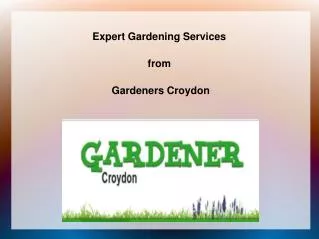 Expert Gardening Services in Croydon
