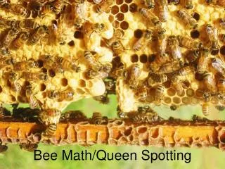 Bee Math/Queen Spotting