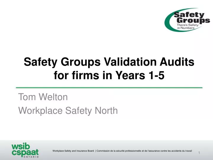 safety groups validation audits for firms in years 1 5