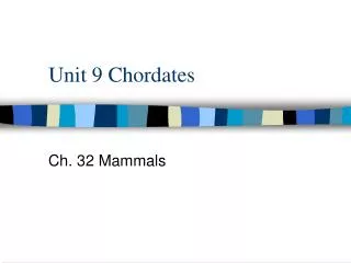 Unit 9 Chordates