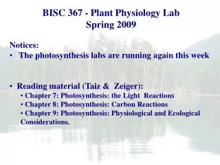 Plant Biology Fall 2006