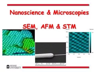 Nanoscience &amp; Microscopies SEM, AFM &amp; STM