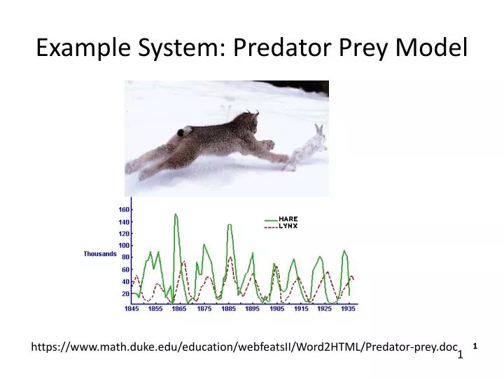 example system predator prey model
