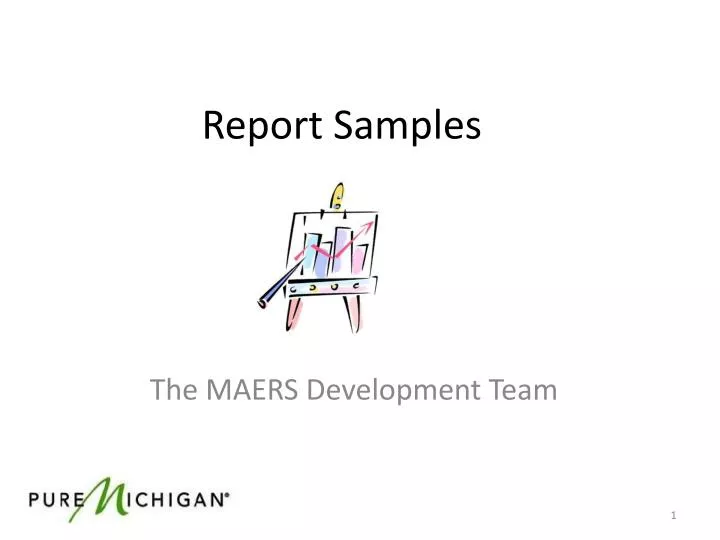 report samples