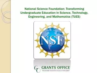 National Science Foundation: Transforming Undergraduate Education in Science, Technology, Engineering, and Mathematics (