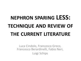 nephron sparing LESS: technique and review of the current literature