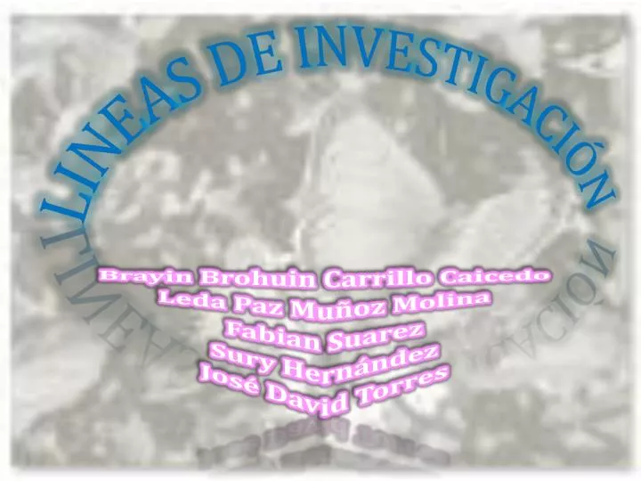 lineas de investigaci n