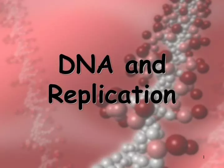 dna and replication
