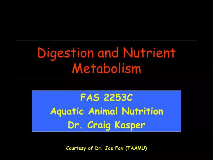 digestion and nutrient metabolism