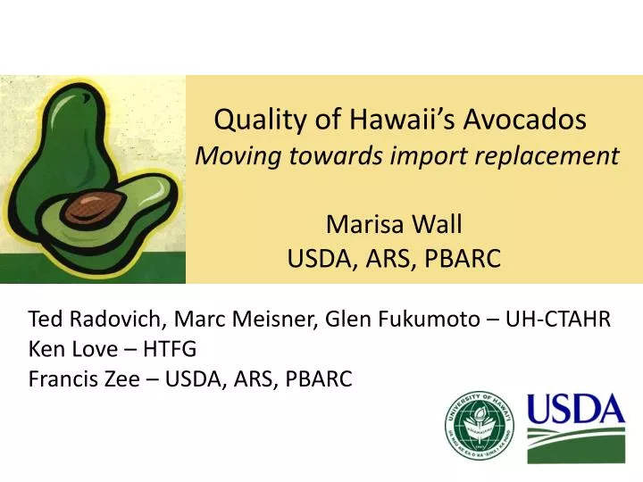 quality of hawaii s avocados moving towards import replacement marisa wall usda ars pbarc
