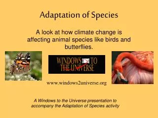 Adaptation of Species