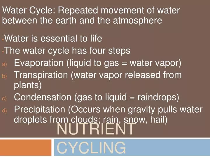 nutrient cycling