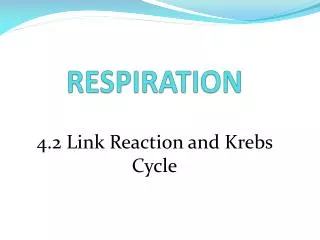 RESPIRATION