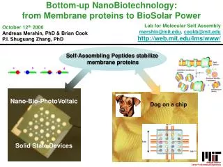 Nano-Bio-PhotoVoltaic Solid State Devices