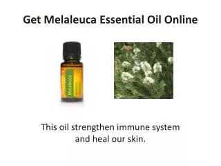Get Melaleuca Essential Oil Online