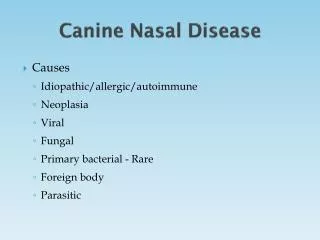 Canine Nasal Disease