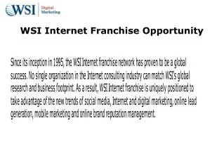 wsi internet franchise opportunity