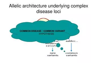 Allelic architecture underlying complex disease loci