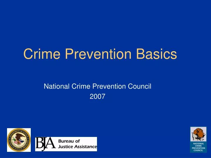 crime prevention basics